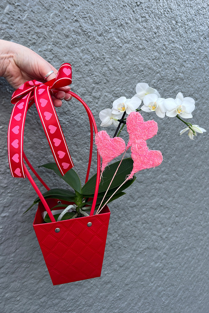 Grosgrain Heart Ribbon 18m
