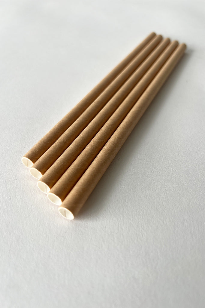 Kraft Gerbera Straws 100PK