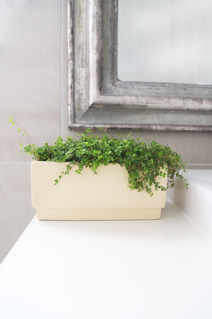 Rectangular Planter - Indent Base