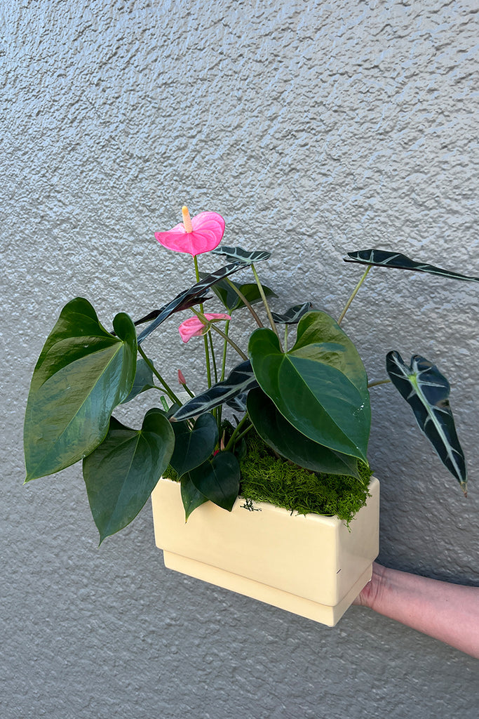 Rectangular Planter - Indent Base