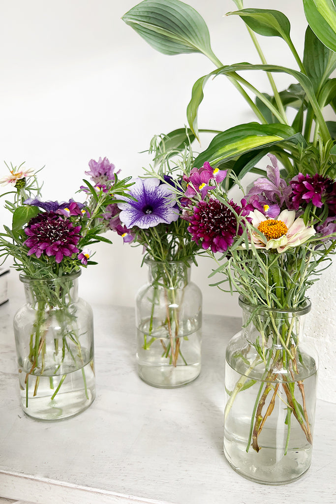 Glass Bottle Bud Vase