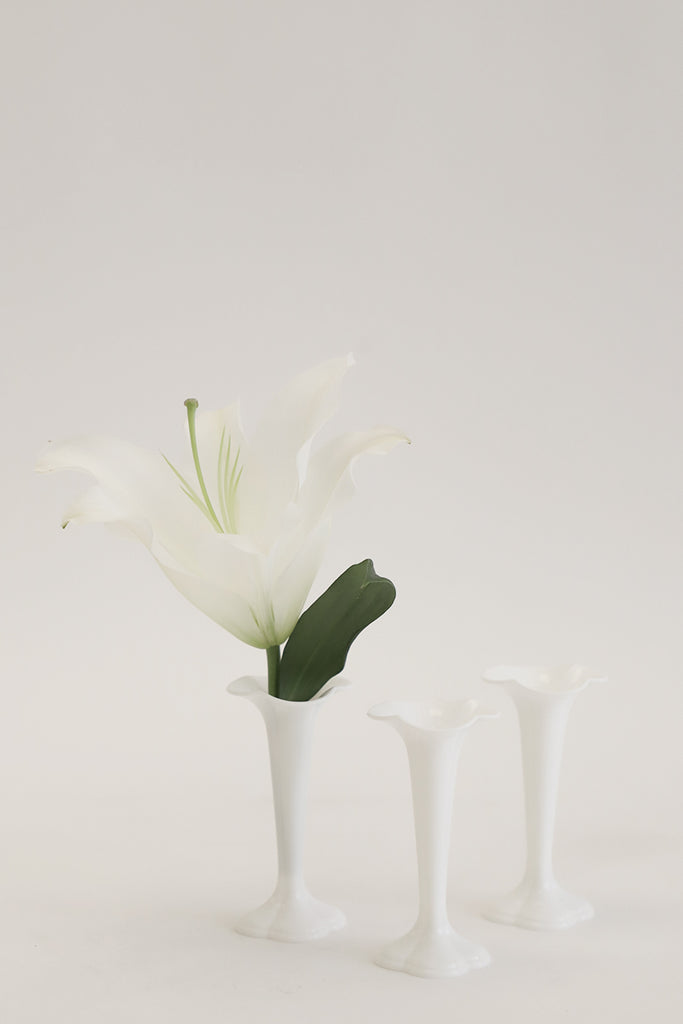 Plastic Single Bud Vase pkt24