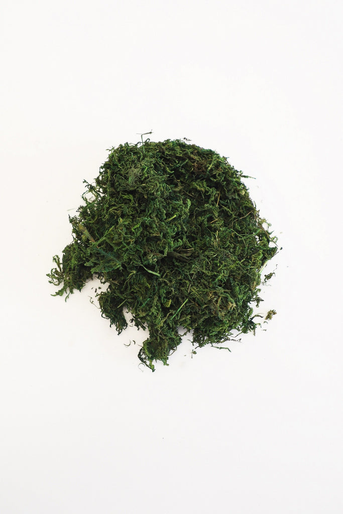 Dried Sphagnum Moss 100gms